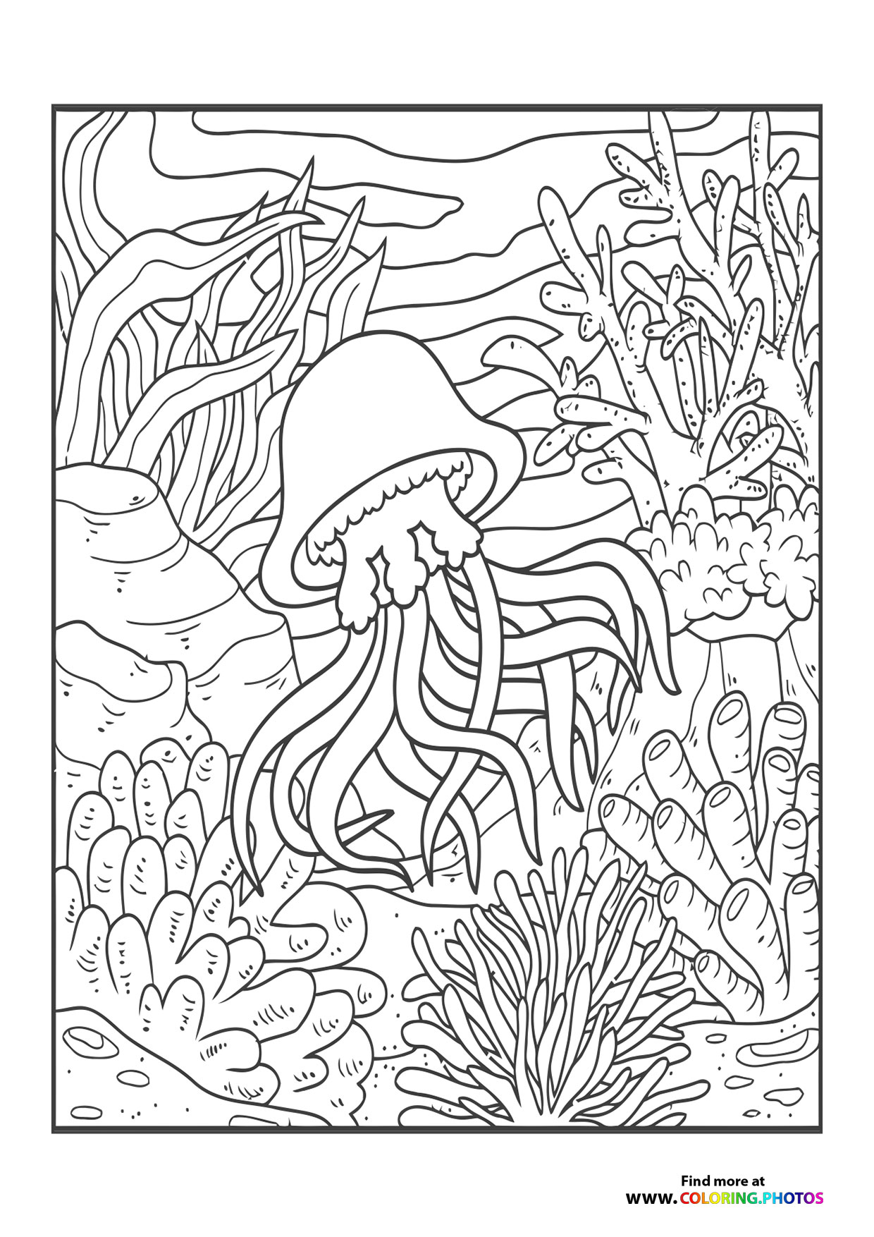 Summer sea Octopus