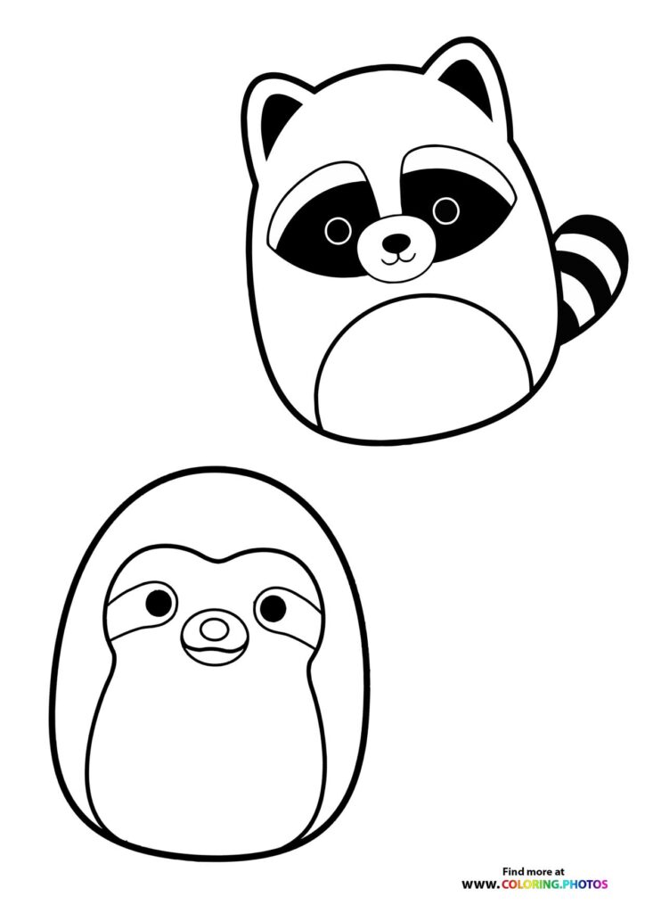 Raccoon and Penguin Squishmallows
