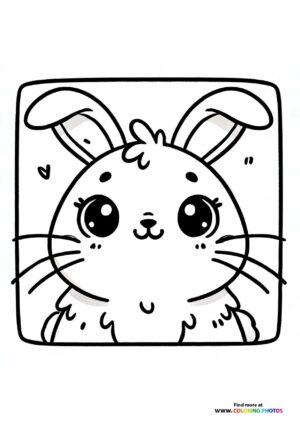 Sweet bunny face