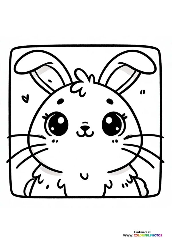 Sweet bunny face