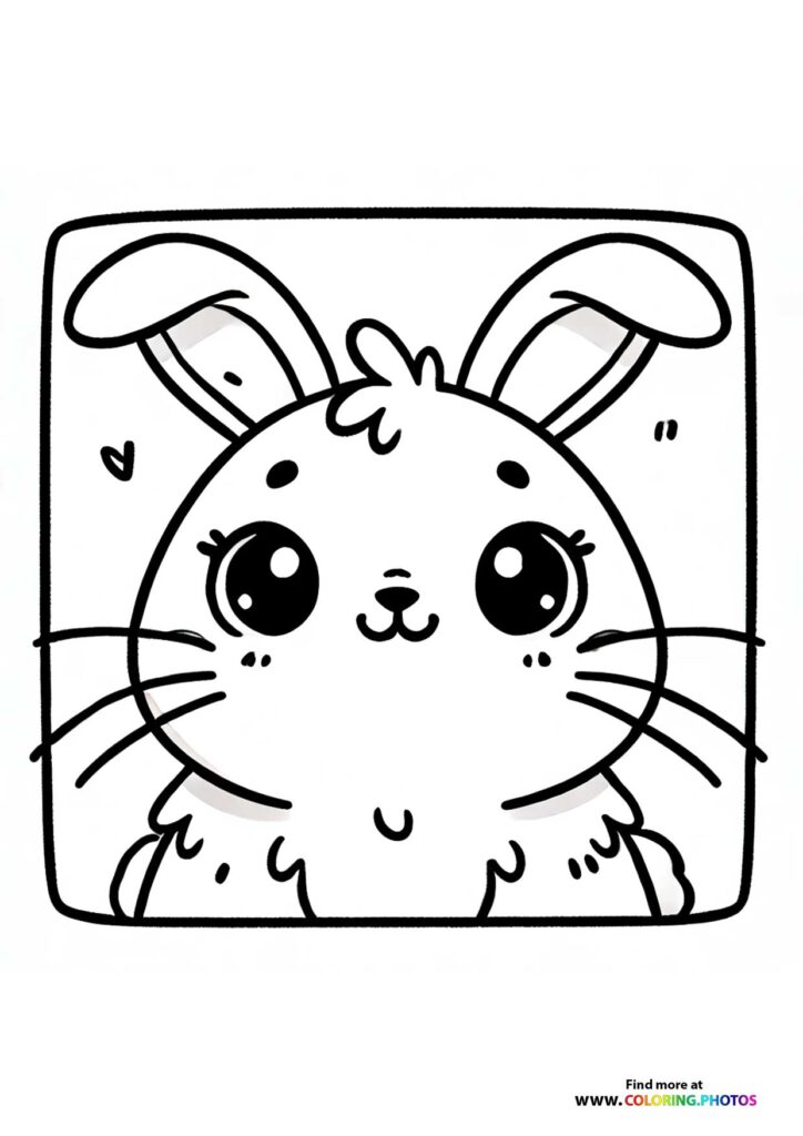 Sweet bunny face