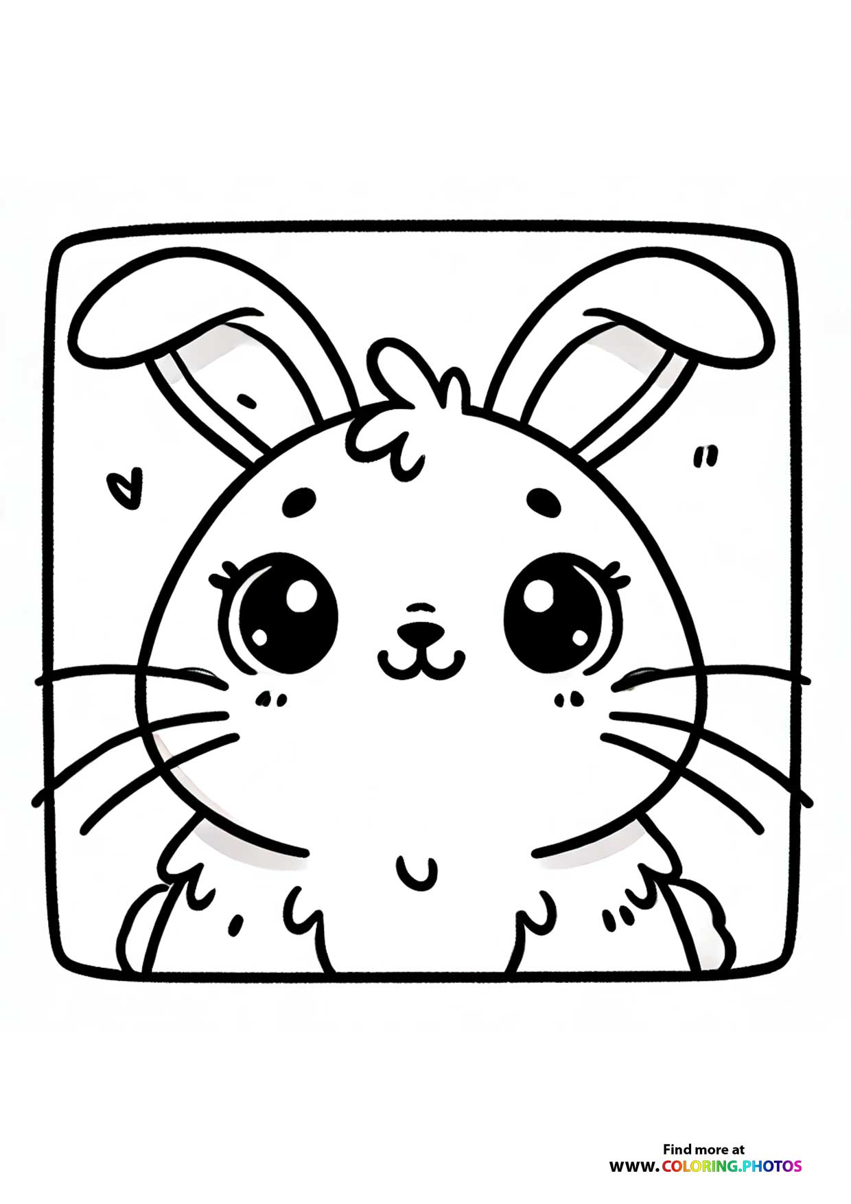 Bunny