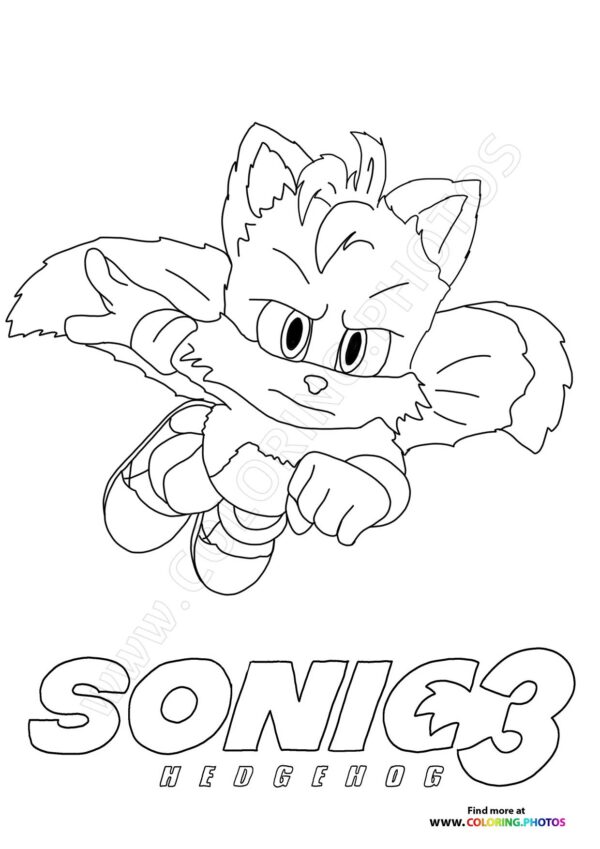Sonic Flying