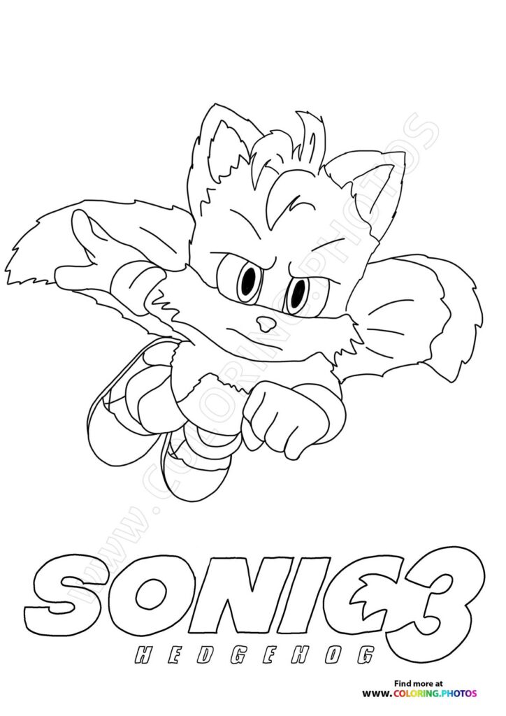 Sonic Flying