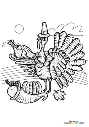 Thanksgiving Turkey Displaying