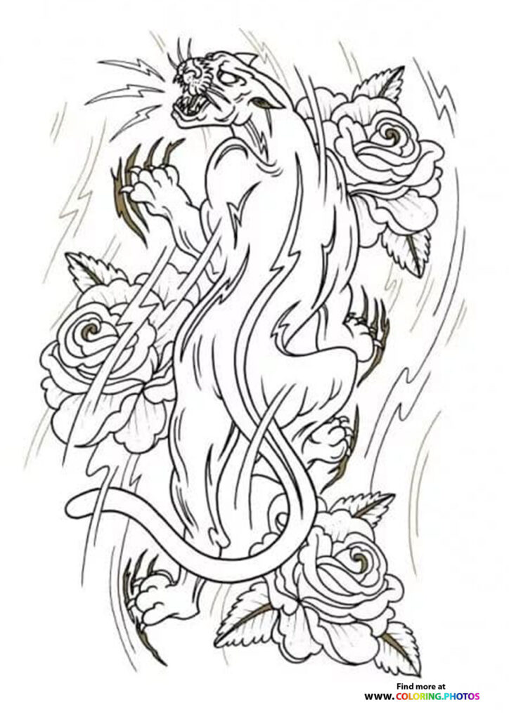 Tiger and roses coloring for adults