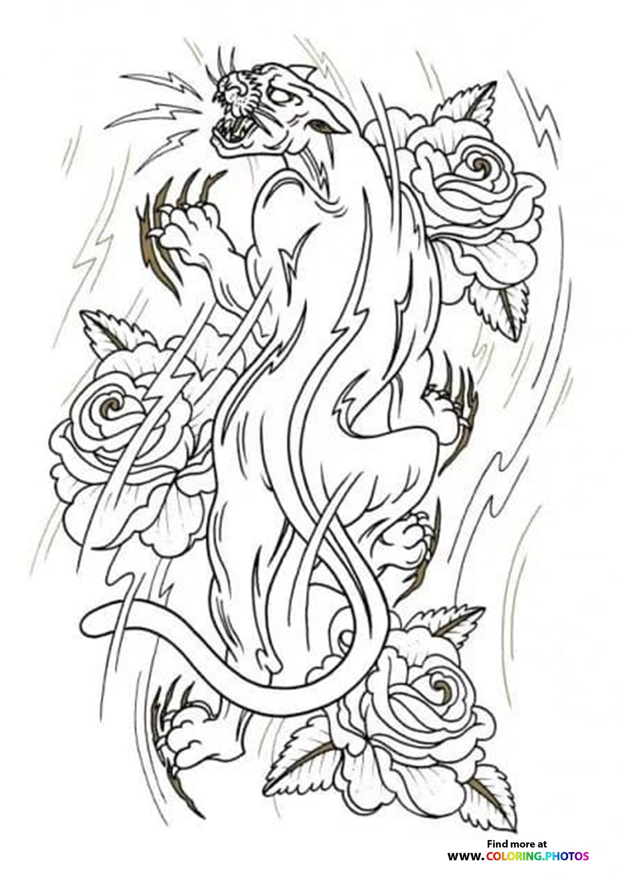 Tiger and roses coloring for adults