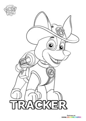 Tracker in Cowboy Hat