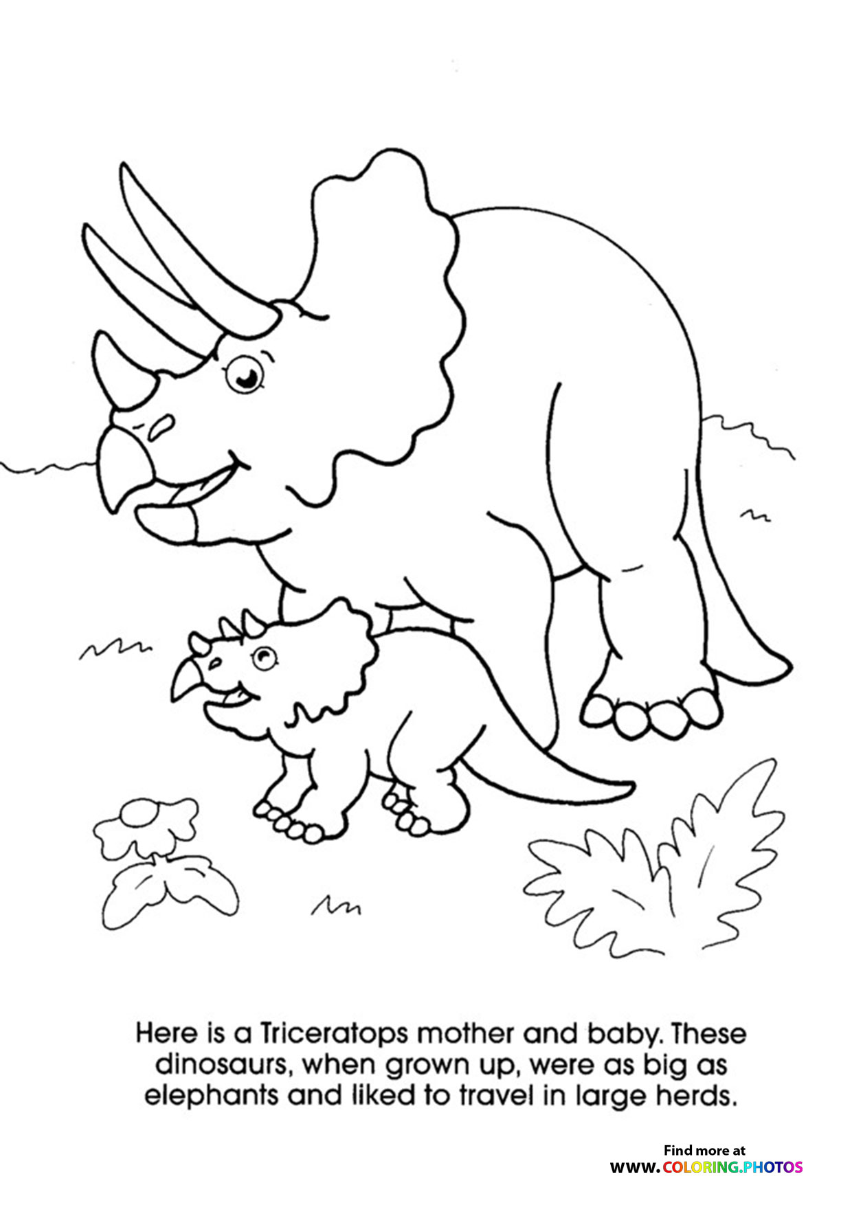 Triceratops mom and baby