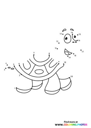 Turtle dot the dots