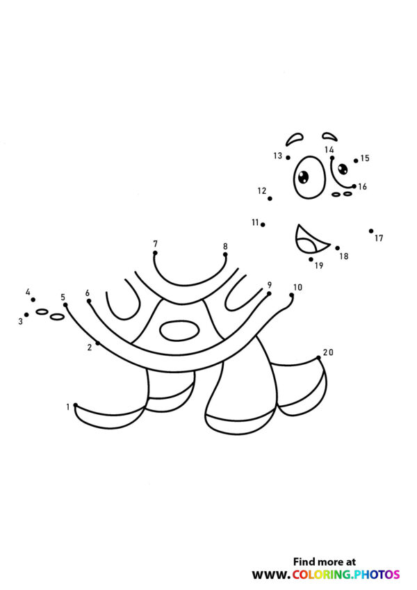 Turtle dot the dots worksheet