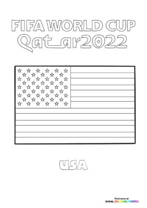 USA World Cup flag