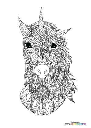 Unicorn adult
