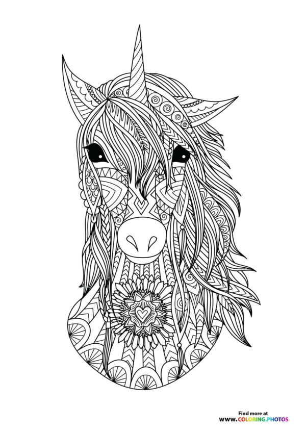Unicorn adult
