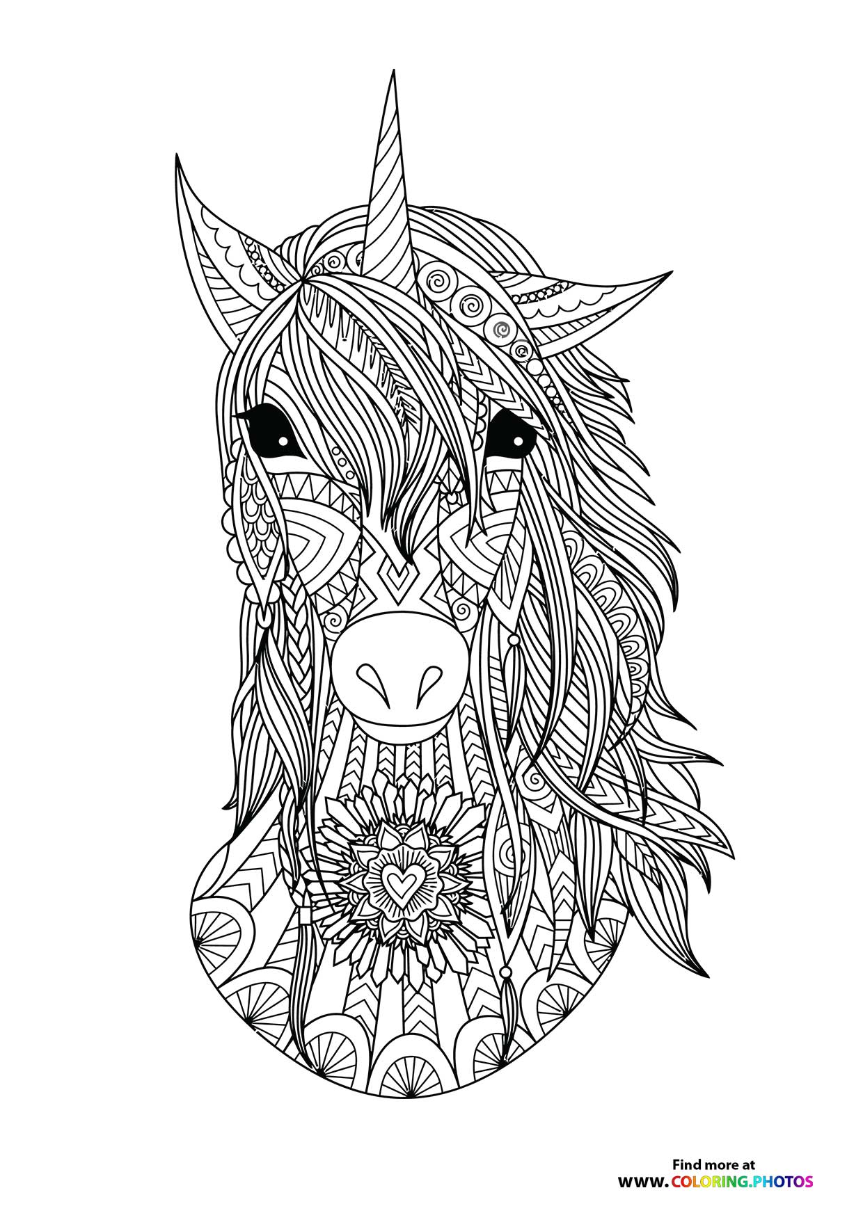 Unicorn adult