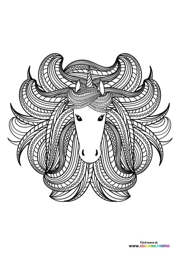 Unicorn with nice hair adult