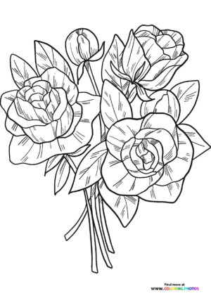Valentine Rose Bouquet