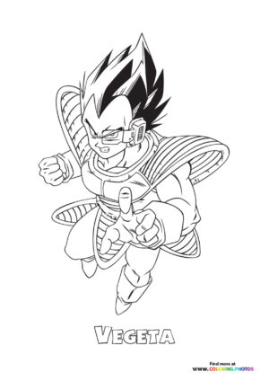 Vegeta Dragon Ball Z