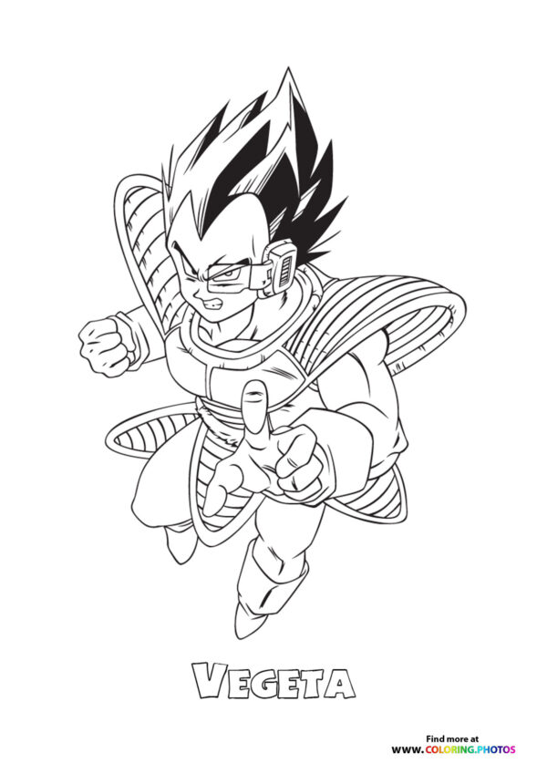 Vegeta Dragon Ball Z