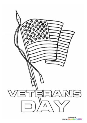 American Flag for Veterans Day