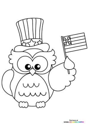 Patriotic Owl with Flag