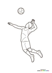 Volleyball