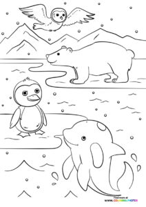 Winter animals