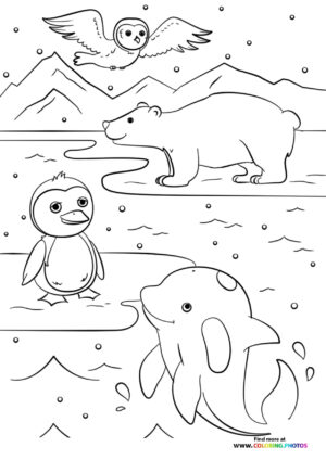 Winter animals