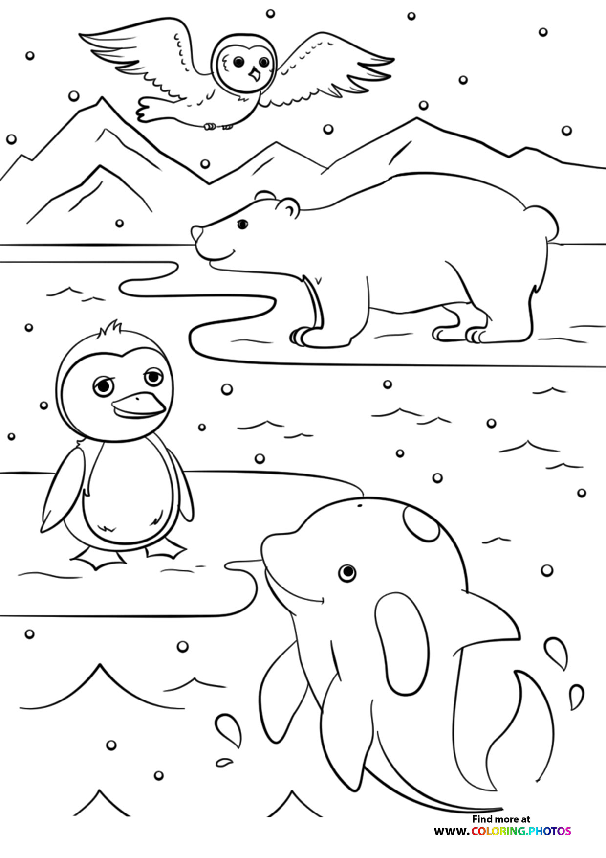 Winter animals