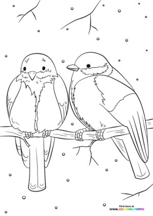 Winter birds in snow