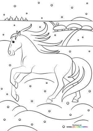 Winter horse in snow