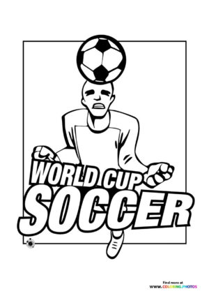 World cup soccer