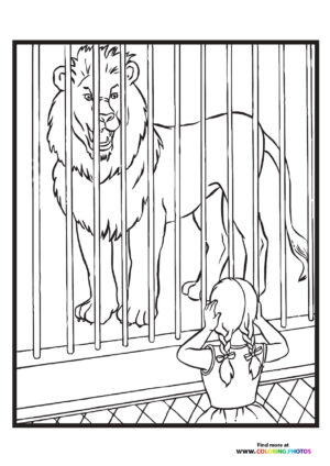 Zoo lion