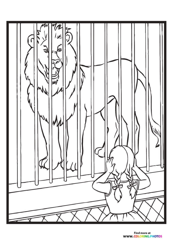 Zoo lion