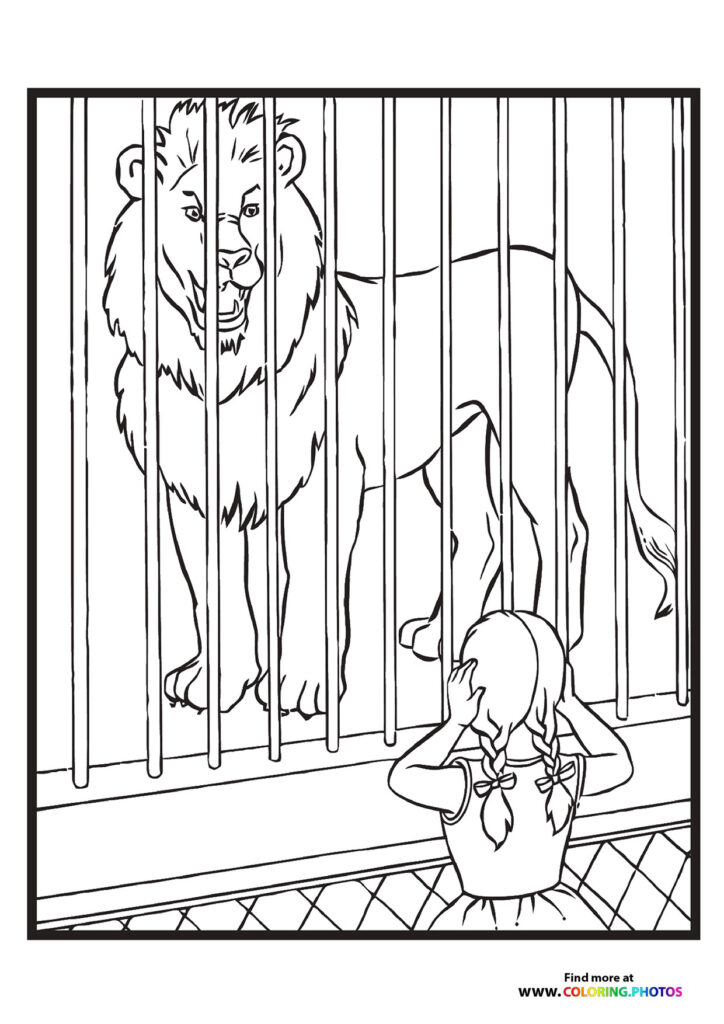 Zoo lion