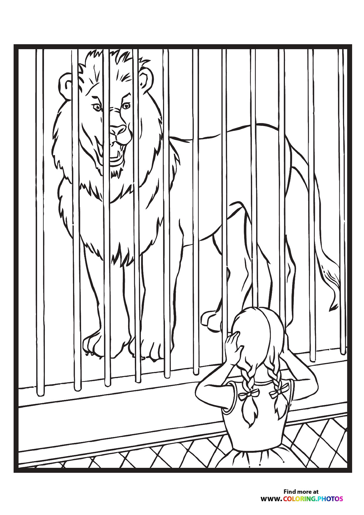Zoo lion
