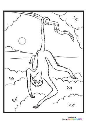 Zoo sloth