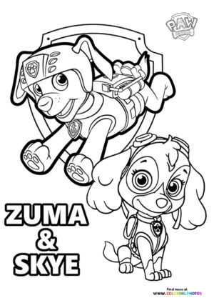 Zuma & Skye