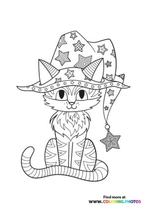 Cat with halloween hat