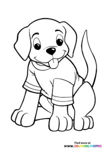 Dogs