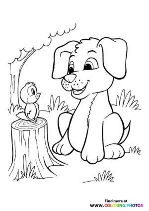 Dog with bird