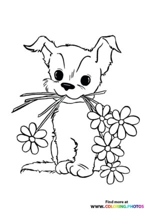 Dog with flowers