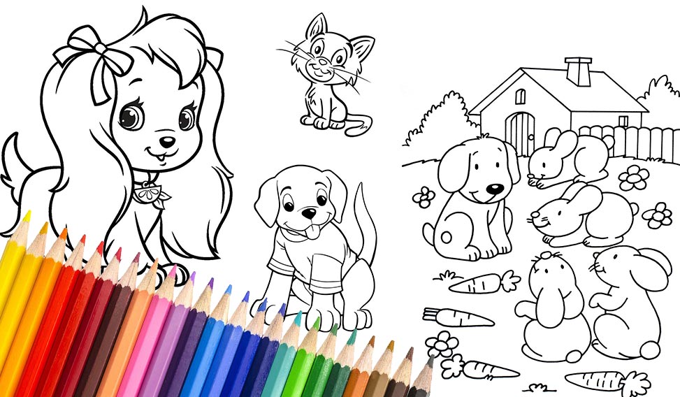 Animals