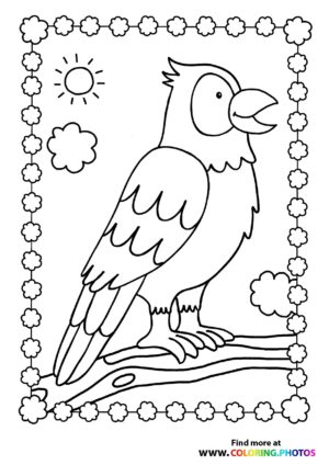 Bird sitting on branch