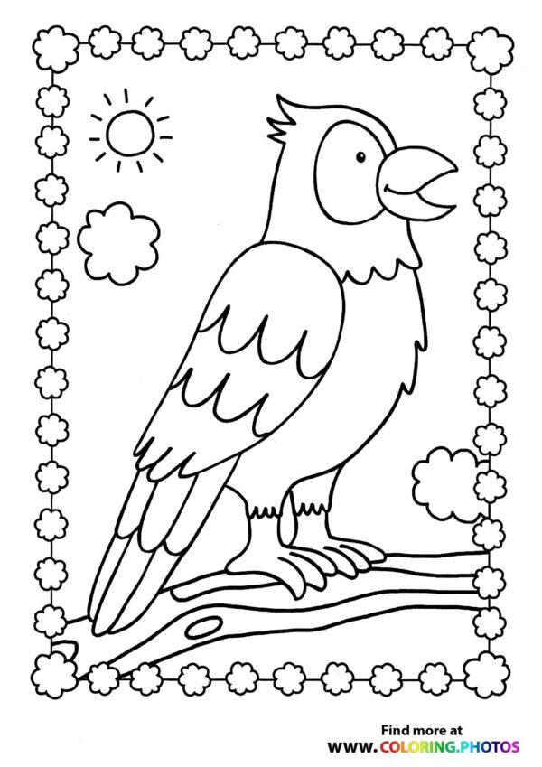Bird sitting on branch