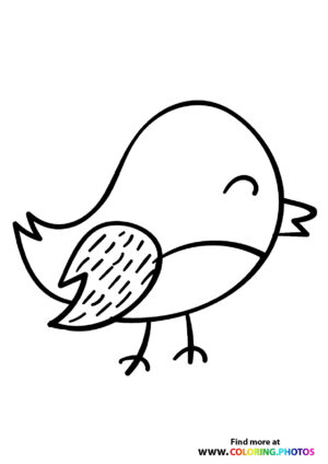 Cute bird