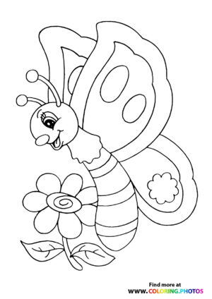 Butterfly on a flower