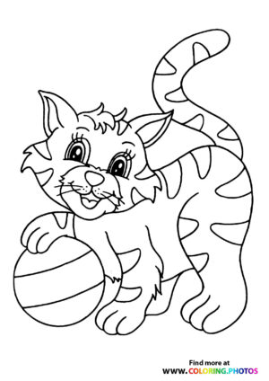 Cat playing with a ball