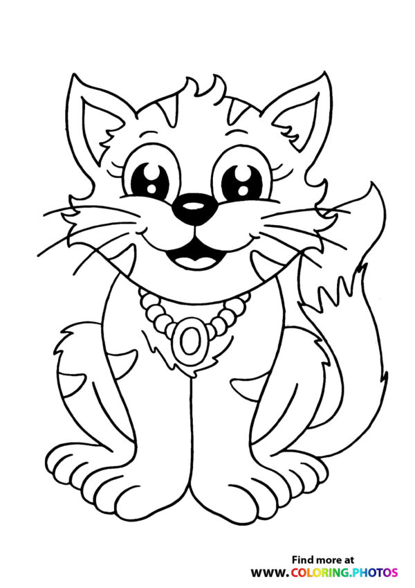 Cat with a necklase