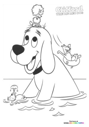 Clifford swimming with friends